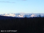 L8 Estate Drive Homer, AK 99603 - Image 2366244