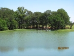 3598 County Rd 2910 Dodd City, TX 75438 - Image 2378283