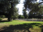 15876 Lawson Vly Jamul, CA 91935 - Image 2436220