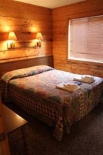 130 County Road 742 Cabin 30 Almont, CO 81210 - Image 2437674