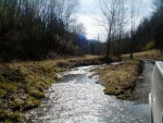 356 Ac Hazel Huffines Ln Whitleyville, TN 38588 - Image 2485791