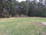 41719 Sweet Bay South Deland, FL 32720 - Image 2499804
