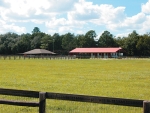3850 SE 219 AVE Morriston, FL 32668 - Image 2504284