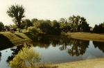 919 Harrell Rd Howe, TX 75459 - Image 2515244