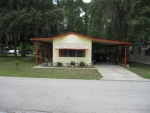 272 Daffodil Fruitland Park, FL 34731 - Image 2579621