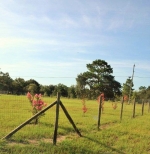 8711 NE 113 Ln Bronson, FL 32621 - Image 2581096