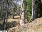 23956 Stable Rd.080-240-14 Sonora, CA 95370 - Image 2597471