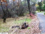 15342 Poco Calle Dr Sonora, CA 95370 - Image 2597473