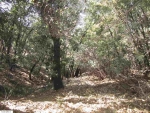 1.39 Acres Pack Trail Sonora, CA 95370 - Image 2597474