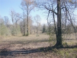 HILLCREST FARM RD Amite, LA 70422 - Image 2606639
