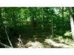 12 Bull Gap Road Talking Rock, GA 30175 - Image 2652890