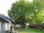 966 Bragg St Angels Camp, CA 95222 - Image 2706949