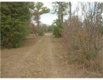 3346 Dick Barnes Loop Bedias, TX 77831 - Image 2712404