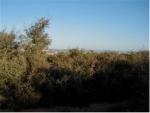 125 Jay Bird Lane Dewey, AZ 86327 - Image 2785546