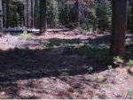1400 Fern Drive Nevada City, CA 95959 - Image 2791442