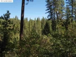 9999 Bitney Springs Rd Nevada City, CA 95959 - Image 2817762