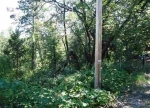 11722 Deer Park Drive Nevada City, CA 95959 - Image 2817759
