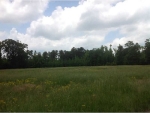 0 Confederate Road Madison, GA 30650 - Image 2825566