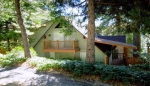 27411 Elmwood Dr Lake Arrowhead, CA 92352 - Image 2826638