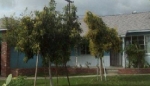 2011 Lindauer Drive La Habra, CA 90631 - Image 2829353
