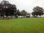 8584 NE Old Blue Springs Rd Lee, FL 32059 - Image 2973680