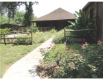 13845 Haynes Rd Dover, FL 33527 - Image 2978329