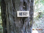 7425 Sir Francis Drake BLVD Lagunitas, CA 94938 - Image 3022569
