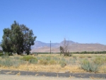 9117 Apache Ave Lake Isabella, CA 93240 - Image 3078095