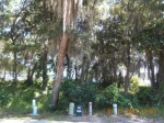 Lot 17 Beacon Point Drapn# 242s2142 Santa Rosa Beach, FL 32459 - Image 3095906