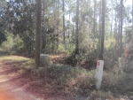 XXX 14TH ST, LOT 24 Santa Rosa Beach, FL 32459 - Image 3105729