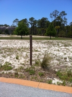 LOT 24 PHASE 2 CYPRE Santa Rosa Beach, FL 32459 - Image 3105726