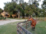 1560 Bowler Road Waller, TX 77484 - Image 3110787