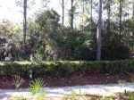 84 Tall Timber Ct Santa Rosa Beach, FL 32459 - Image 3110927