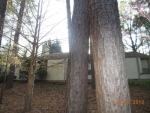 5325 Raintree Trail Oakwood, GA 30566 - Image 3114250