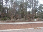 Lot 21 Forest Lakes Apn# 023s203440 Santa Rosa Beach, FL 32459 - Image 3114744