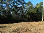 0 D Williams Road Commerce, GA 30530 - Image 3114995