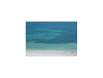 1111 CRANDON BL # B806 Key Biscayne, FL 33149 - Image 3325489