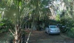 5816 N Dean Road Orlando, FL 32817 - Image 3329623