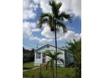 2035 NW 71 ST Miami, FL 33147 - Image 3336693