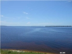 3001 W 10th St Unit 318 Panama City, FL 32401 - Image 3373369