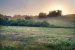 2889 Stony Point Road Petaluma, CA 94952 - Image 3406969