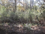 7TH ST, LOT 15 Santa Rosa Beach, FL 32459 - Image 3412221
