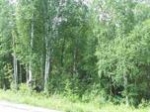 409 Kaufman Lane Two Rivers, AK 99716 - Image 3413804