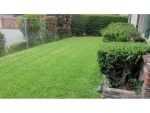 11118 Wildflower Rd Temple City, CA 91780 - Image 3420749