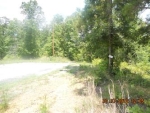 Brushy Creek Pointe Lot #42 Arley, AL 35541 - Image 3439747