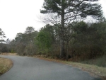 201 Fir Road Ne Ranger, GA 30734 - Image 3574996