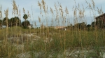 0 W Gulf Blvd Saint Petersburg, FL 33706 - Image 3684284