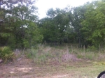 11210 Liberto Road Brooksville, FL 34614 - Image 3705785