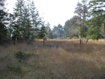 49801 Andiron Rd Little River, CA 95456 - Image 3823497