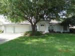 3172 Crescent Oaks Blvd Tarpon Springs, FL 34688 - Image 3896343